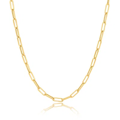 Maxcolor 14k Yellow Gold Paperclip Chain Link Necklace