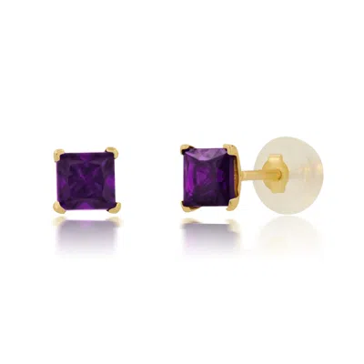 Maxcolor 14k Yellow Gold Square Princess Cut 4mm Gemstone Stud Earrings In Purple