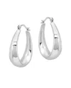 Maxcolor Silver Dangle Earrings In Silver