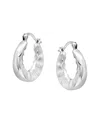 Maxcolor Silver Dangle Earrings In Silver