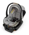 Maxi-cosi Baby Mico Pro+ Car Seat In Gray