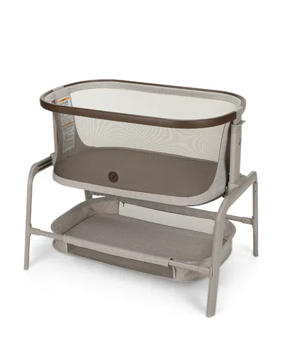 Maxi-cosi Iora Bedside Bassinet In Multi