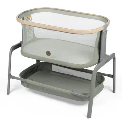 Maxi-cosi Iora Bedside Bassinet In Green
