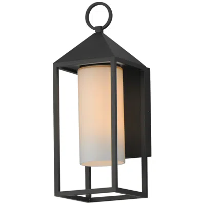 Maxim Aldous 1-light Outdoor Sconce Black