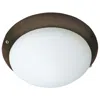 Maxim Basic-max 1-light 7" Wide Oil Rubbed Bronze Ceiling Fan Light Kit In Multi