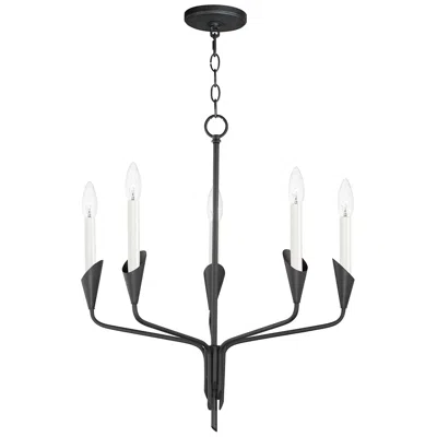 Maxim Calyx 5-light Chandelier Black