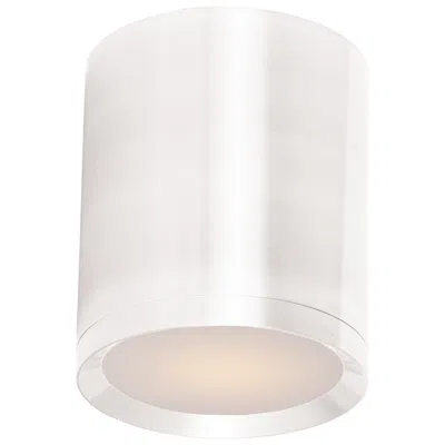 Maxim Lightray Led 1-light Outdoor Flush Mount - White
