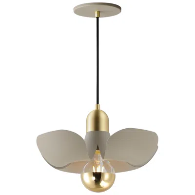 Maxim Poppy 12" Pendant - Silver Gold/satin Brass