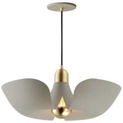 Maxim Poppy 18" Pendant - Silver Gold/satin Brass