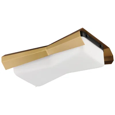 Maxim Rizzo 16" Wide Black/antique Brass 2-light Ceiling Light