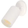 Maxim Spots 1-light Can Wall/flush Mount