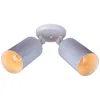 Maxim Spots-flush Mount