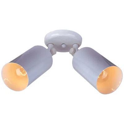 Maxim Spots-flush Mount