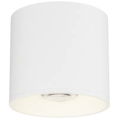 Maxim Stout Rd 120-277v Indoor/outdoor Flush Mount