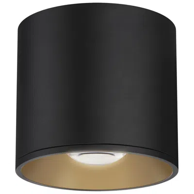 Maxim Stout Rd 120-277v Indoor/outdoor Flush Mount