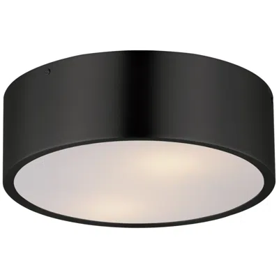 Maxim Tommy 12" Black 2-light Surface Mount