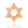 Maya Brenner Women's Charm Stud - 14k Rose Gold - Star Of David In Gold