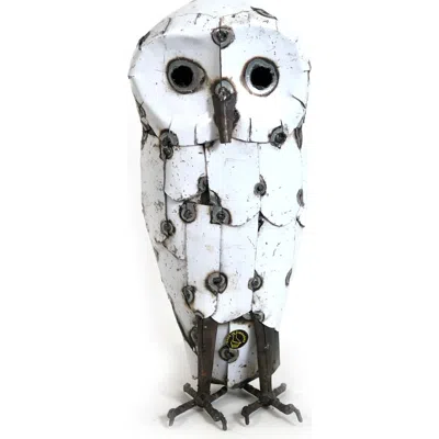 Mbare Snowy White Owls