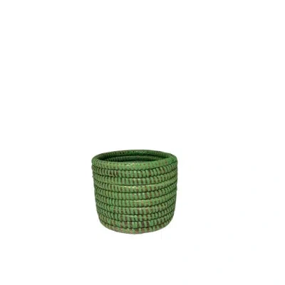 Mbare Succulent Basket Planter In Green