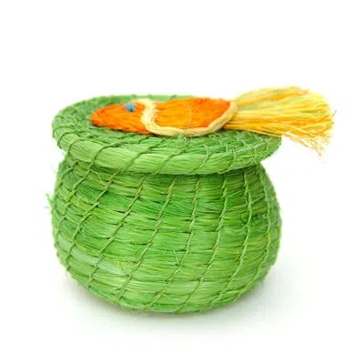Mbare Swimming Fish Lidded Basket In Beige