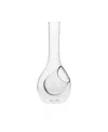 Mbare Wine Cooler Decanter In Transparent