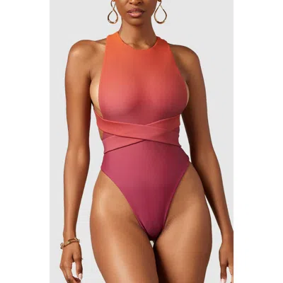 Mbm Swim Ethos One-piece Swimsuit In Brown