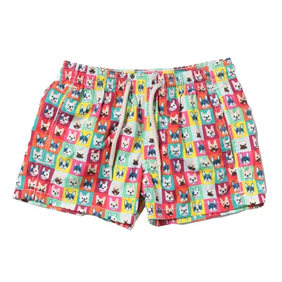 Mc 2 Saint Barth Kids' Boxer Swimsuit With Bulldog Print In Multicolor