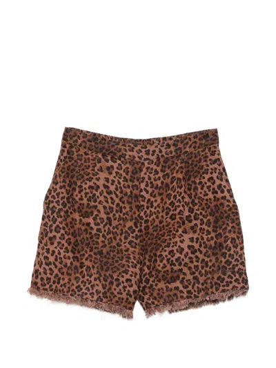 Mc2 Saint Barth Amani Leopard-print Frayed Shorts In Brown
