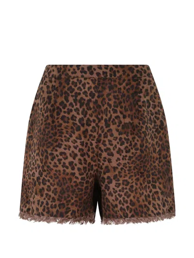 Mc2 Saint Barth Amani Leopard-print Frayed Shorts In Brown