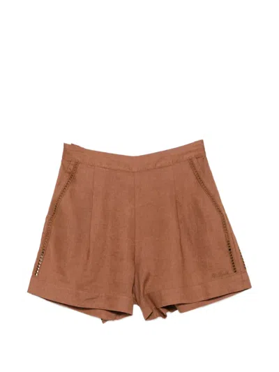 Mc2 Saint Barth Amani Pleated Shorts In Brown