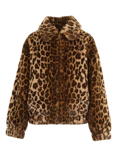 Mc2 Saint Barth Aveline Leopard Zip Jacket In Gray