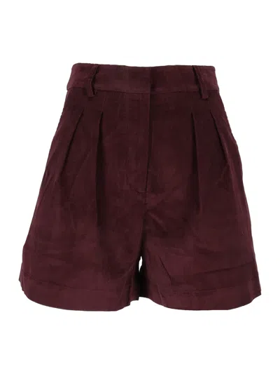 Mc2 Saint Barth Aya Corduroy Mini-44m Aubergine In Burgundy