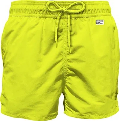 Mc2 Saint Barth Boxer Sea  Lig0004 01633h In Green