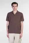 Mc2 Saint Barth Brighton Polo In Brown Cotton In Brown