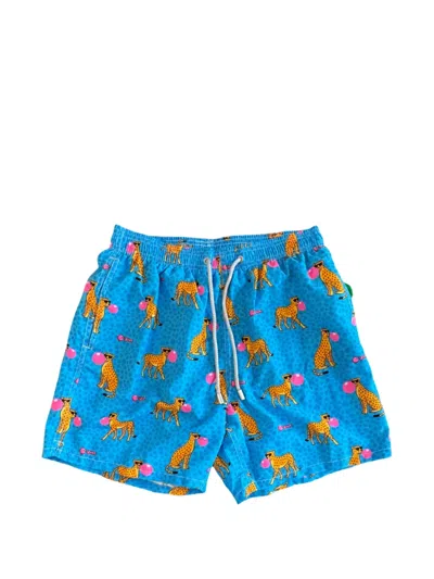 Mc2 Saint Barth Cheetah-print Drawstring Swim Shorts In Multi