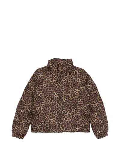 Mc2 Saint Barth Classic Leo Print Jacket In Brown
