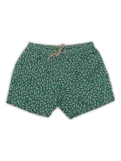 Mc2 Saint Barth Comfort Lightning Gecko-print Swim Shorts In Multi