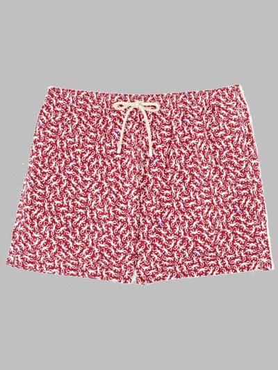 Mc2 Saint Barth Costume Da Bagno Con Stampa In Brown
