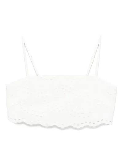 Mc2 Saint Barth Cotton Cropped Top