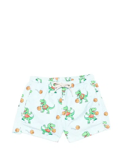 Mc2 Saint Barth Kids' Dinosaur-print Swim Shorts In Multi