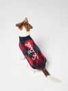Mc2 Saint Barth Dog Sweater With Argyle Print In Blue