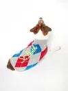 Mc2 Saint Barth Dog Sweater With Argyle Print In Grey