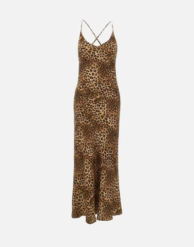 Mc2 Saint Barth Eydis Brown Animal Print Dress