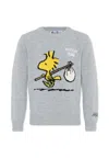 Mc2 Saint Barth Grey Sweater For Boy With Woodstock In Gray