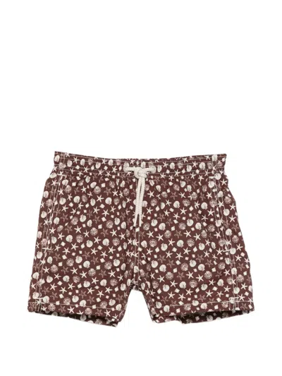 Mc2 Saint Barth Kids' Jean Lighting Seashell-print Drawstring-waist Swim Shorts In Brown