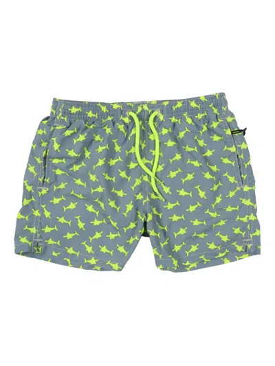Mc2 Saint Barth Kids'  Jean Lighting-flat Shark N 1594 In Multi