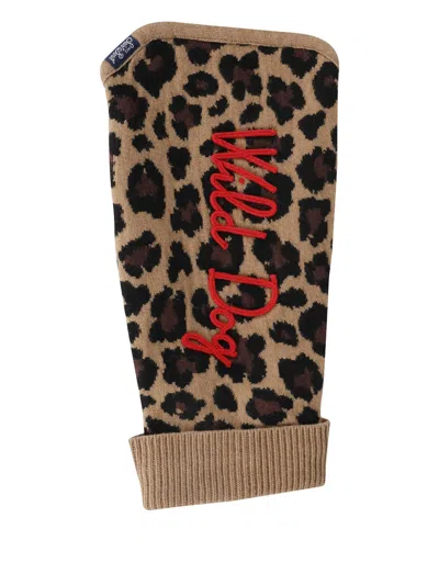 Mc2 Saint Barth Leopard-print Dog Sweater In Brown