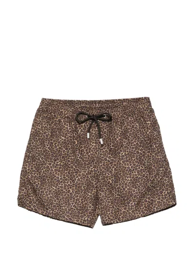 Mc2 Saint Barth Lighting Micro Fantasy Leopard-print Swim Shorts In Animal Print
