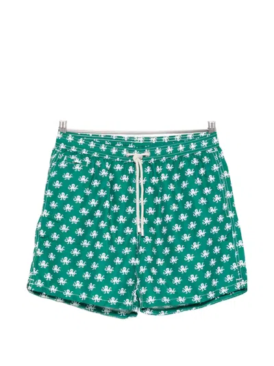 Mc2 Saint Barth Lighting Micro Fantasy Octopus-print Swim Shorts In Green