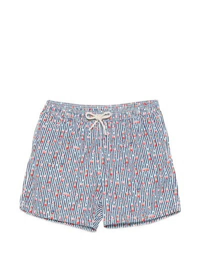 Mc2 Saint Barth Lighting Micro Fantasy Striped Swim Shorts In Green